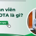 Nhân viên OTA