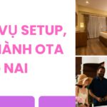 Dịch vụ setup OTA Đồng Nai